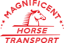 Magnificent Horse Transport